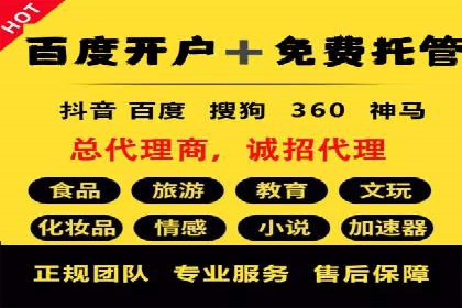 搜索引擎营销（SEM）在旅游行业的推广案例